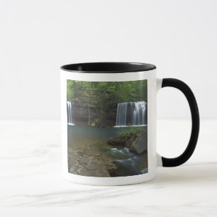 Taza EE. UU., Arkansas, Ozark- St Francis Nacional