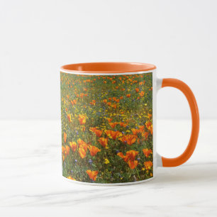 Taza EE. UU., California, Antelope Valley California