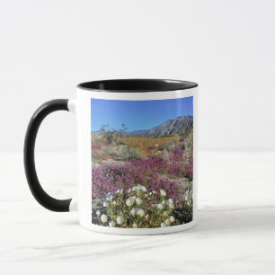 Taza EE.UU., California, Anza-Borrego DSP. Noche de dun