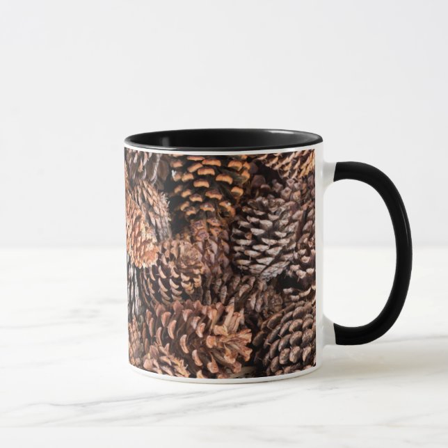 Taza EE. UU., California, Bosque Nacional Inyo (Derecha)