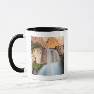 Taza EE. UU., California, Bosque Nacional Inyo. Cascada