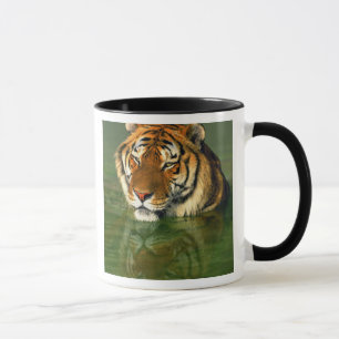 Taza EE. UU., California, condado de Los Ángeles. Benga