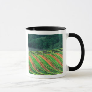 Taza EE. UU., California, Condado de Mendocino, una esp