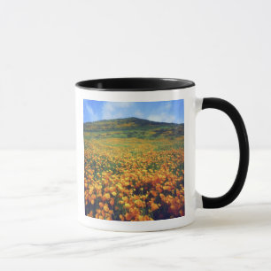 Taza EE. UU., California, Lago Elsinore. California
