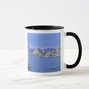 Taza EE. UU., California, lago Mono