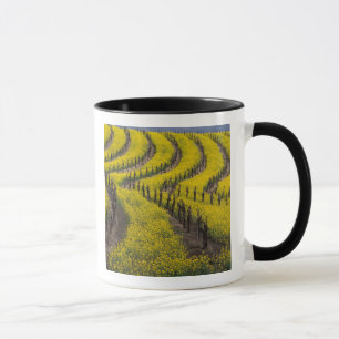 Taza EE.UU., California, Napa Valley, Los Carneros Ava.