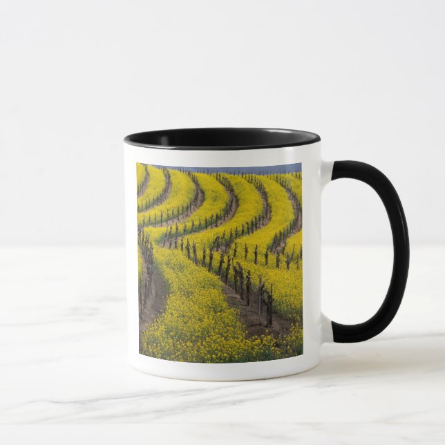 Taza EE.UU., California, Napa Valley, Los Carneros Ava. (Derecha)