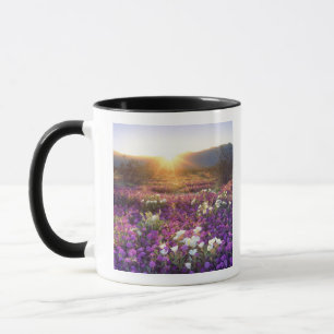 Taza EE. UU., California, Parque Estatal Desierto de An