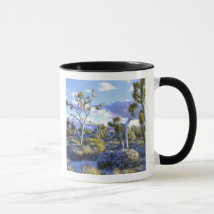 Taza EE. UU., California, Parque Nacional Joshua Tree. 