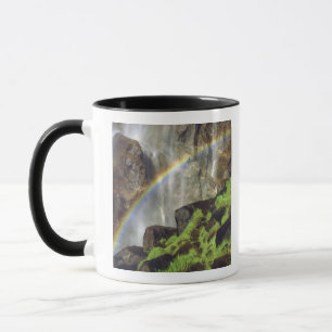 Taza EE. UU., California, Parque Nacional Yosemite. A