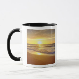 Taza EE.UU., California, San Diego. La Jolla