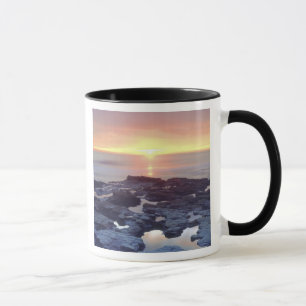 Taza EE. UU., California, San Diego. Marea de Sunset Cl