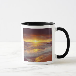 Taza EE.UU., California, San Diego. Playa Sunset Cliffs