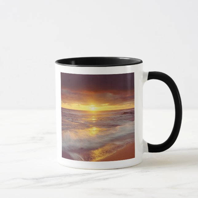 Taza EE.UU., California, San Diego. Playa Sunset Cliffs (Derecha)
