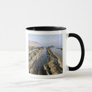 Taza EE.UU., California, Santa Barbara, Henry's Beach.