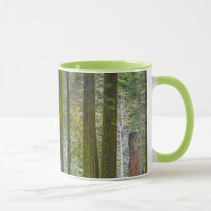 Taza EE.UU., California. Troncos de árbol cubiertos po