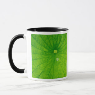 Taza EE. UU.; Carolina del Norte; Hoja de loto con gota