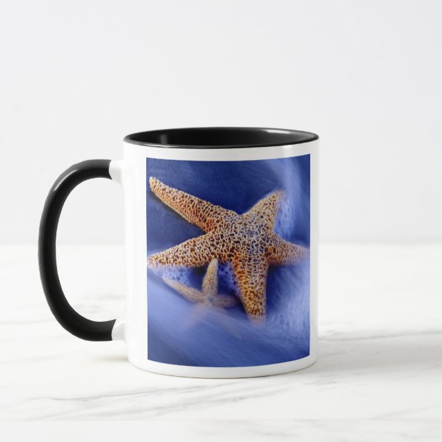 Taza EE. UU., Carolina del Sur, Isla Hilton Head. Dos (Izquierda)