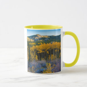 Taza EE. UU., Colorado. Álamos amarillos brillantes en 