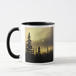 Taza EE. UU., Colorado, Bosque Nacional San Isabel.
