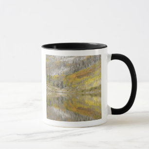 Taza EE. UU., Colorado, Bosque Nacional White River, 2