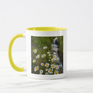 Taza EE. UU., Colorado, montañas de San Juan. Margarita