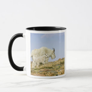 Taza EE. UU., Colorado, Montañas Rocosas, Monte Evans,