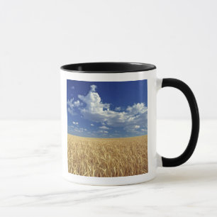 Taza EE. UU., Estado de Washington, Colfax. Trigo madur