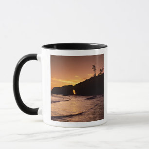 Taza EE. UU., Estado de Washington, Parque Nacional Olí