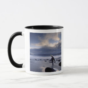 Taza EE. UU., Estado de Washington, Parque Nacional Olí