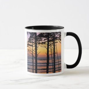 Taza EE. UU., Estado de Washington, PN Olímpico. Delica