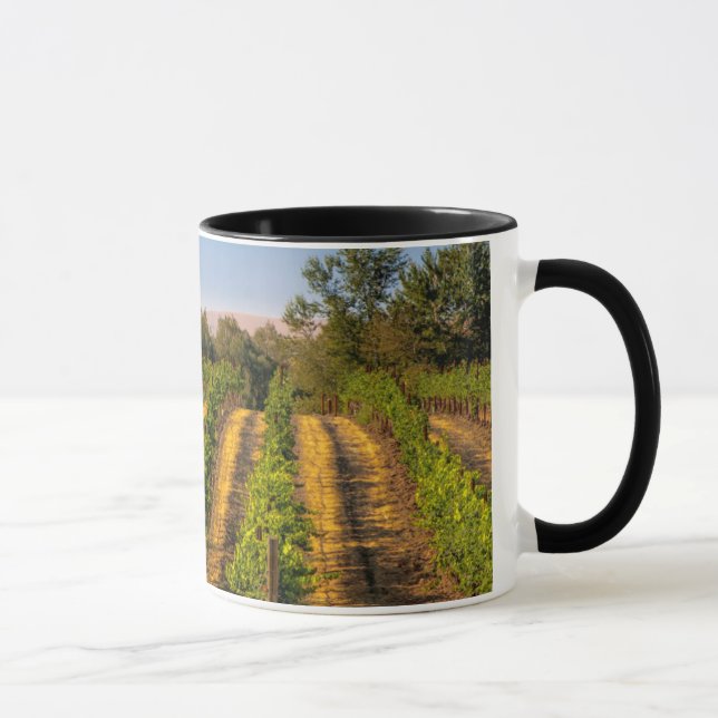 Taza EE.UU., Este de Washington, Viñedos de Walla Walla (Derecha)