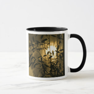 Taza EE. UU., Georgia, Callaway Gardens, Amanecer