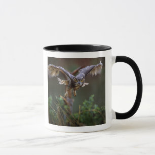 Taza EE.UU., Georgia, Montaña Pine, Jardines Callaway.