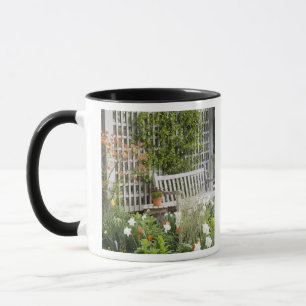 Taza EE. UU., Georgia, Pine Mountain. Silla en el