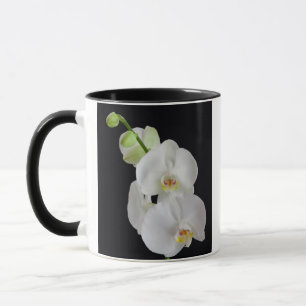 Taza EE. UU., Georgia, Savannah, grupo de orquídeas