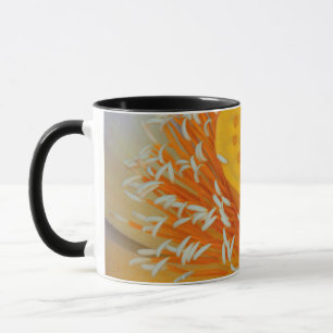 Taza EE. UU., Georgia, Savannah, Primer Plano De Un Lot