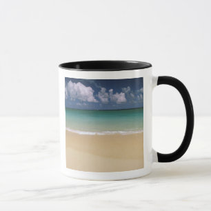 Taza EE. UU., Hawái. Escena de playa