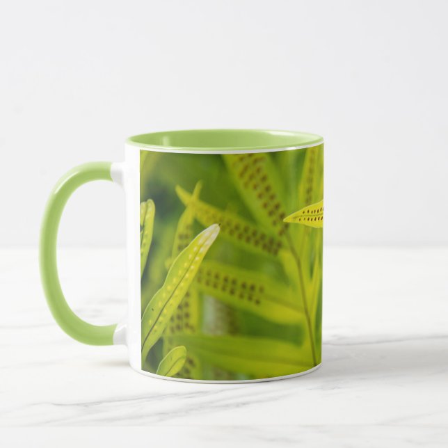 Taza EE. UU., Hawái, Isla Grande. Helecho verde tropica (Izquierda)