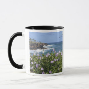 Taza EE. UU., Hawái, Kauai, cerca de Kapaa, noroeste