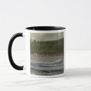 Taza EE. UU., Hawái, Kauai, costa suroeste, cerca