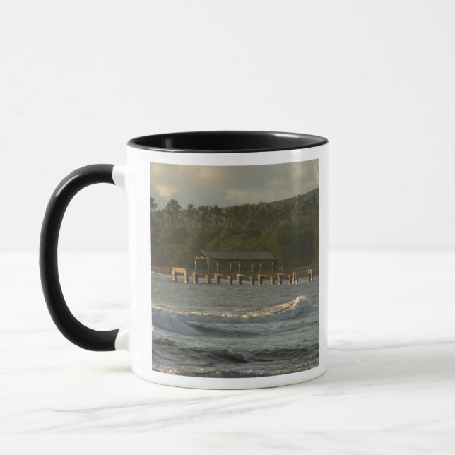 Taza EE. UU., Hawái, Kauai, costa suroeste, cerca (Izquierda)