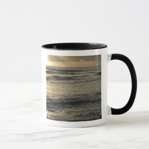 Taza EE. UU., Hawái, Kauai, costa suroeste, cerca de Wa