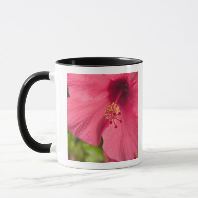 Taza EE. UU., Hawái, Kauai, Hibisco (Izquierda)