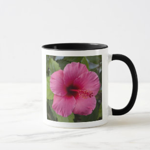 Taza EE. UU., Hawái, Oahu. El Hibisco es el 2
