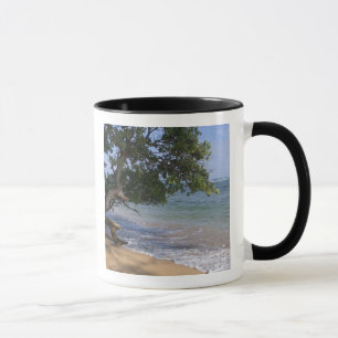Taza EE.UU., Hawaii, Kauai, paisaje de playa. RF)