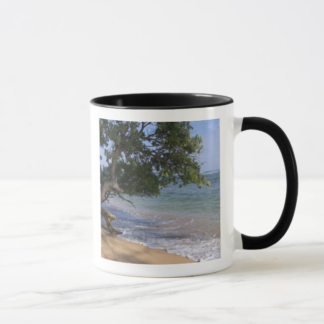 Taza EE.UU., Hawaii, Kauai, paisaje de playa. RF) (Derecha)