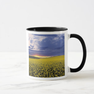 Taza EE. UU., Idaho, Swan Valley. Una puesta de sol ard