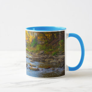 Taza EE. UU., Indiana. Cataract Falls State Recreation