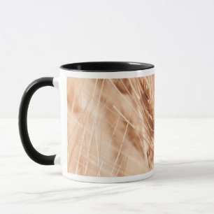 Taza EE. UU., Kansas, Trigo en época de cosecha